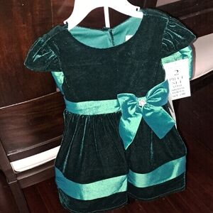 NWT Rare Editions Green Velvet Kids Formal Dress